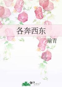晶体管